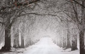 Україну накриють снігові хуртовини: синоптик назвав дату