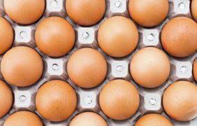 Поділять на класи та розсортують за вагою: в Україні змінили правила продажу курячих яєць