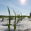 До України йдуть опади та потепління: прогноз погоди