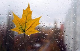 Погода на 2 жовтня: де пройдуть дощі