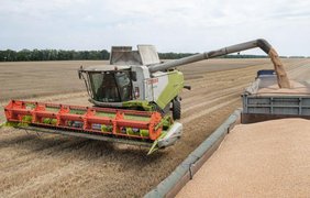 В Україні підвищили прогноз збору зерна через високу урожайність