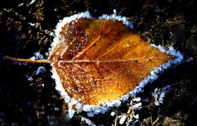 В Україну йдуть перші заморозки: синоптик назвав дату різкого похолодання