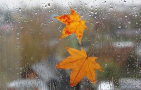 Дощі майже по усій території України, місцями пориви вітру: погода на 12 листопада 
