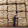 Сотні тисяч тонн кави та какао на складах ЄС опинилися під загрозою знищення - FT