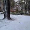 Негода на Херсонщині: Прокудін розповів про наслідки 