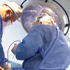 Все більше клінік беруться за трансплантологію: чи показують гідні результати