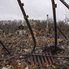 ЗСУ підтвердили інформацію про розстріл українських полонених