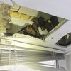У Дніпрі рятувальники вилучили з балкону квартири 140 кажанів