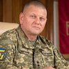 "Ми вистоїмо і переможемо": Залужний заявив про основу стійкості України 