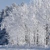 Чекаємо до -22 морозу: в Україні різко похолодає