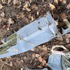 Десантники збили російський розвідувальний дрон "Картограф" (фото)