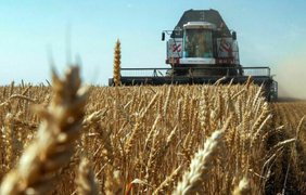 Окупанти в Запорізькій області крадуть у фермерів зерно - Генштаб