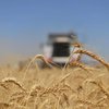 Чехія не підтримає заборону на ввезення української сільгосппродукції