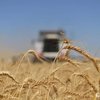 Посіви озимих зернових зменшились на 40-45% - член аграрного комітету Соломчук (відео)