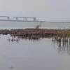 Окупанти обстріляли Антонівський міст біля Херсона: є загиблий