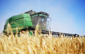 Врожай пшениці в Україні впаде на 21% - Мінсільгосп США