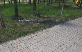 Нічна атака на Київ: уламки ракети впали на територію зоопарку (відео)