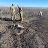 На Харківщині у полі підірвався трактор: загинули двоє чоловіків (фото)
