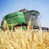 Єврокомісія заборонила поставки українського зерна до п'яти країн