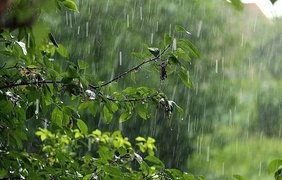 Погода на 25 травня: де пройдуть дощі
