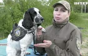 Рятівники, шукачі та помічники: як запорізькі кінологи тренують собак (відео)