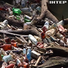 Туристичне Закарпаття тоне у смітті: як уберегти край від відходів