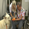 На Рівненщині собаки допомагають проходити реабілітацію постраждалим на фронті бійцям