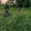 Російські добровольці з боями заходять до передмістя Шебекіно (відео) 