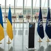Коли приймуть ключові рішення щодо вступу України в НАТО: Чалий дав відповідь