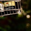 В Україні різко зростуть ціни на алкоголь