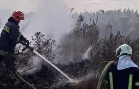 На Київщині протягом 7 годин гасили пожежу: що відомо