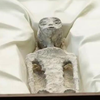 В Конгресі Мексики показали мумії "інопланетян" (фото, відео) 