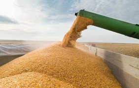 Єврокомісія скасувала обмеження на експорт українського зерна