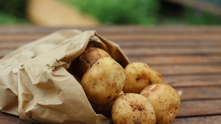 Фото: ціни на картоплю 