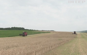 Експорт українського зерна: які заяви лунають у країнах ЄС