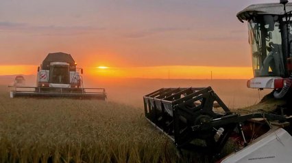 Україна домовляється про поставки зерна з Польщею та Словаччиною