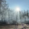 Національний парк "Святі Гори" на Донеччині перетворився на згарище