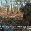 Ворог постійно закидає наші позиції технікою та людьми: останні новини з фронту