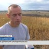 На Прикарпатті триває збір соняшника, гречки та сої