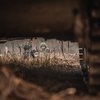 На Курщині був "чорний понеділок" для росіян - 47 ОМБр