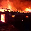 На Дніпропетровщині внаслідок пожежі на конефермі загинуло понад 140 різних свійських тварин