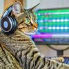 Nvidia представив ШІ-модель Fugatto з генерацією та зміною звуку