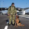 На кордоні України та Польщі відновили пропуск транспорту