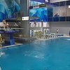 У Києві стартував Чемпіонат України зі стрибків у воду