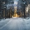 Яке сьогодні, 12 грудня, свято: все про цей день