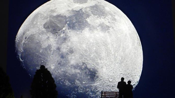 Фото: Getty Images
