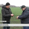 Підірвався на боєприпасі, але повернувся до роботи: історія агронома