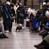 У Верховній Раді розкрили, скільки українців виїхало за кордон