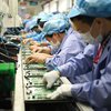 У США можуть заборонити китайські роутери TP-Link - WSJ