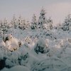 21 грудня: яке сьогодні свято, прикмети та заборони